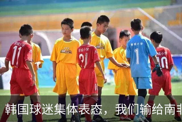 韩国球迷集体表态，我们输给南非，是因为中国国足坑了我们